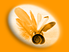 Logo Vogelschnecke