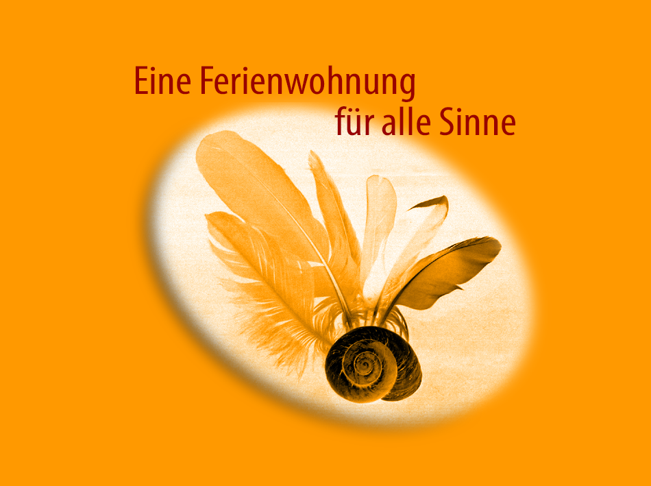 Vogelschnecke Logo